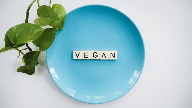 Plant-Based Burger